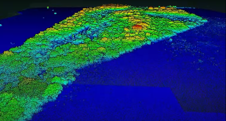 Bioflore & TGBS: Revolutionizing Biodiversity Monitoring | Nature-based Solutions cover image